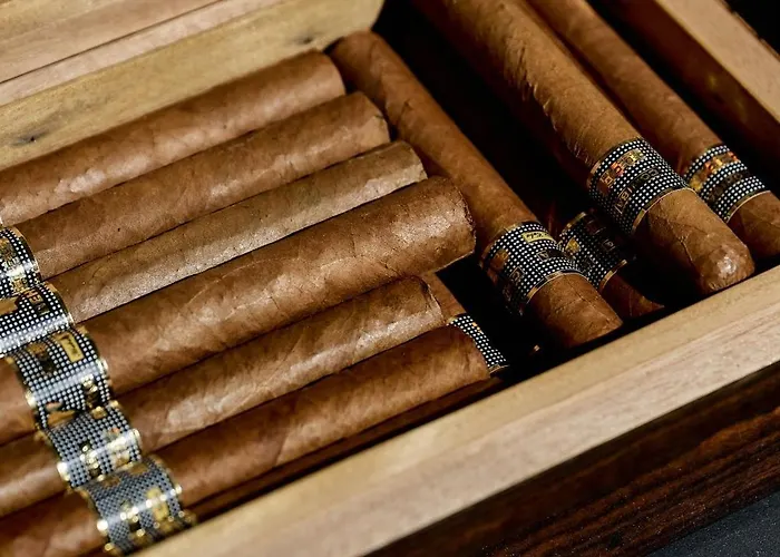 Resort Zara Boutique *